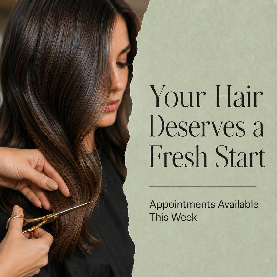 Salon appointment reminder post showing brunette hair being professionally cut with text encouraging clients to book a fresh hair appointment this week.
